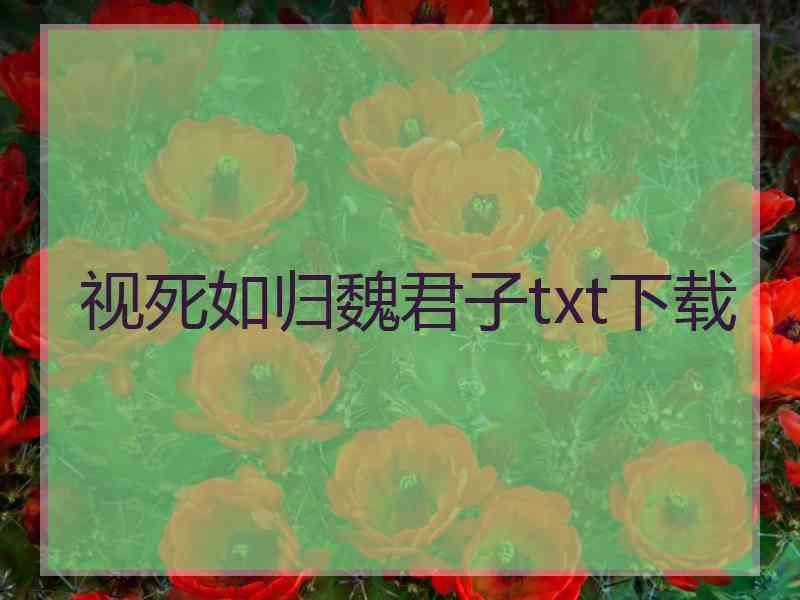 视死如归魏君子txt下载