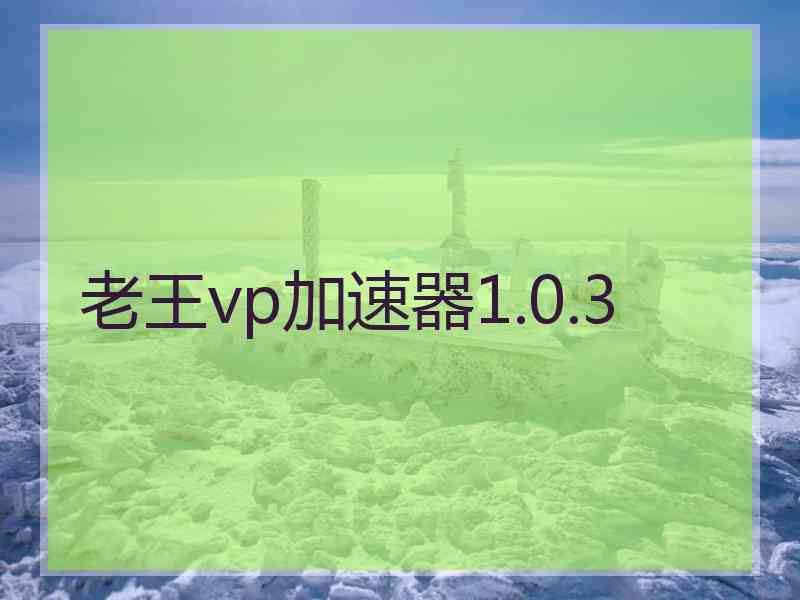 老王vp加速器1.0.3