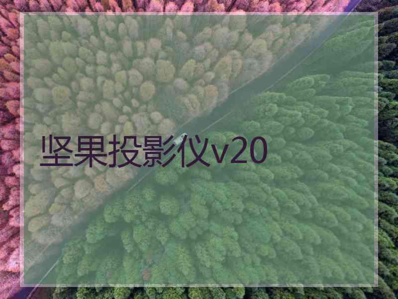 坚果投影仪v20