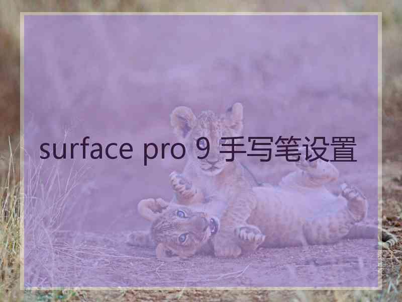 surface pro 9 手写笔设置