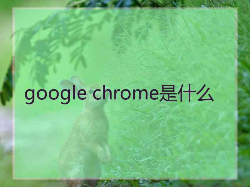 google chrome是什么