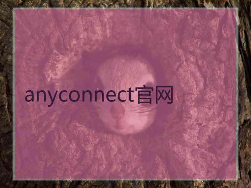 anyconnect官网