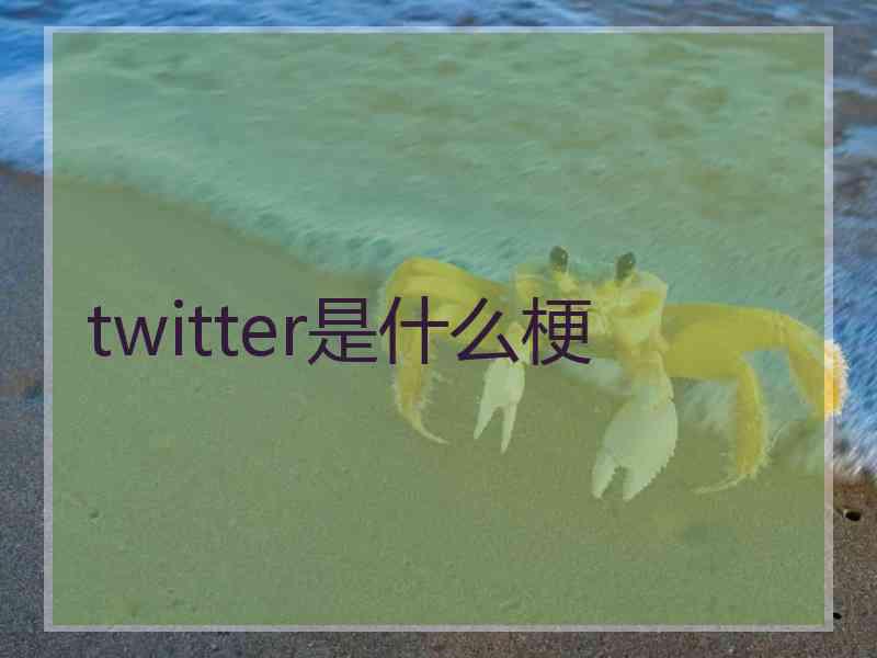 twitter是什么梗