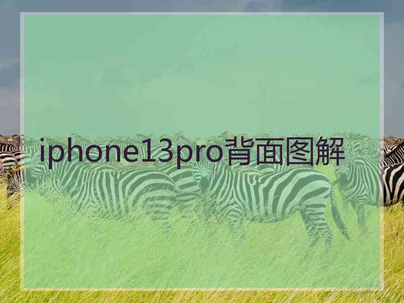 iphone13pro背面图解