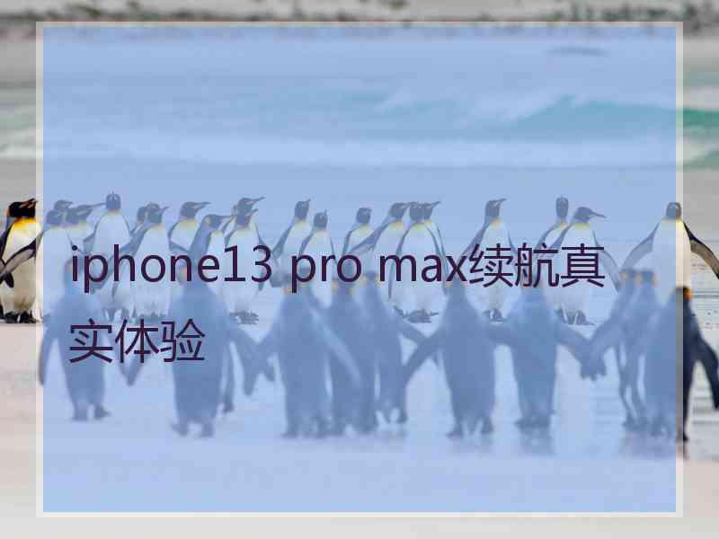 iphone13 pro max续航真实体验