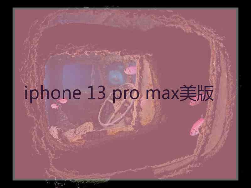 iphone 13 pro max美版