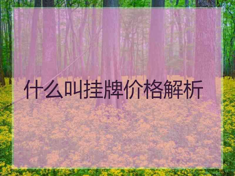 什么叫挂牌价格解析