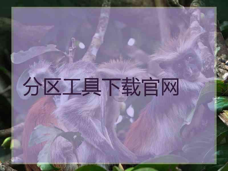 分区工具下载官网