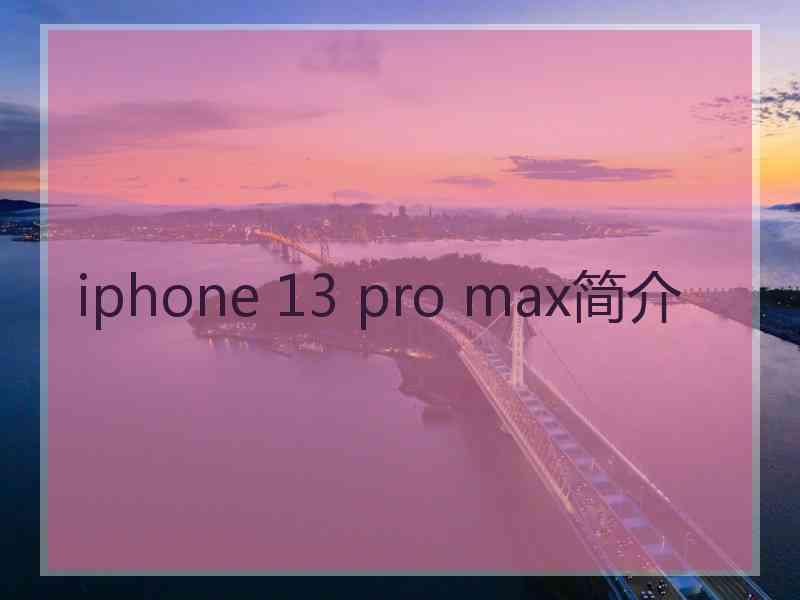 iphone 13 pro max简介