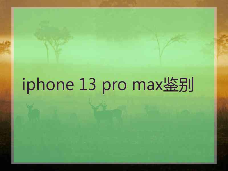 iphone 13 pro max鉴别