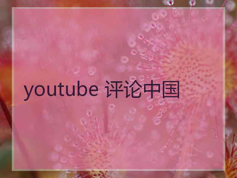 youtube 评论中国