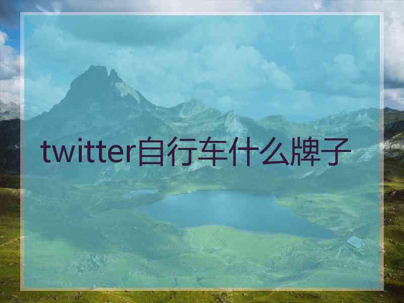 twitter自行车什么牌子