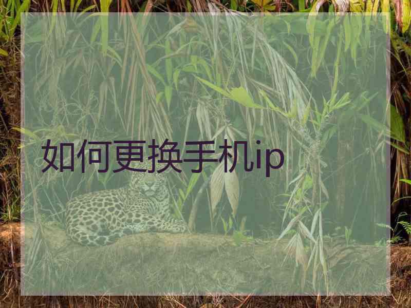 如何更换手机ip