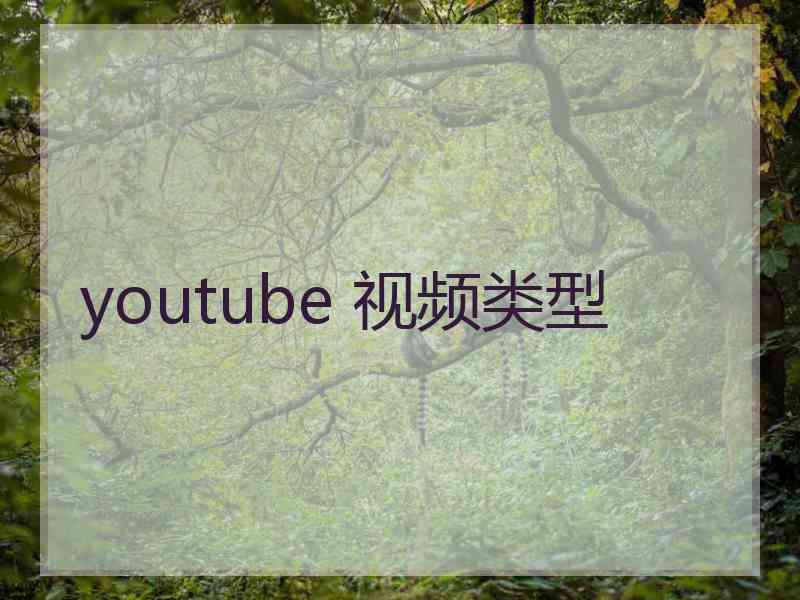 youtube 视频类型