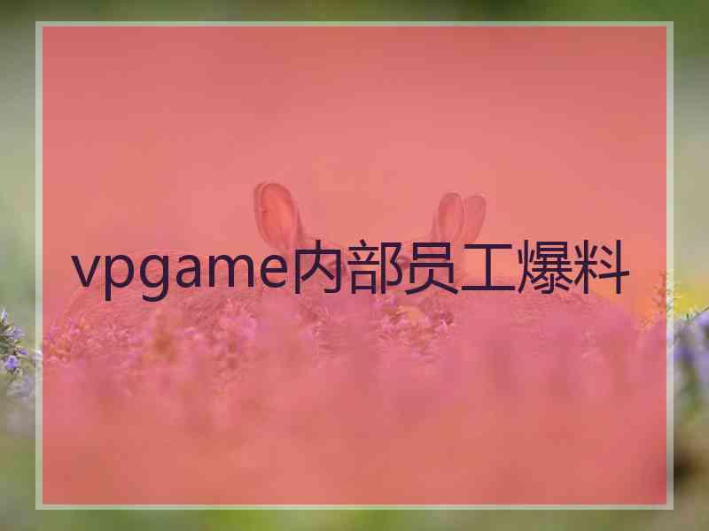 vpgame内部员工爆料