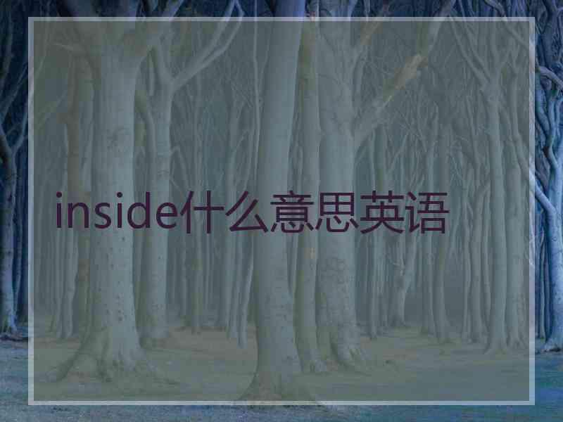 inside什么意思英语