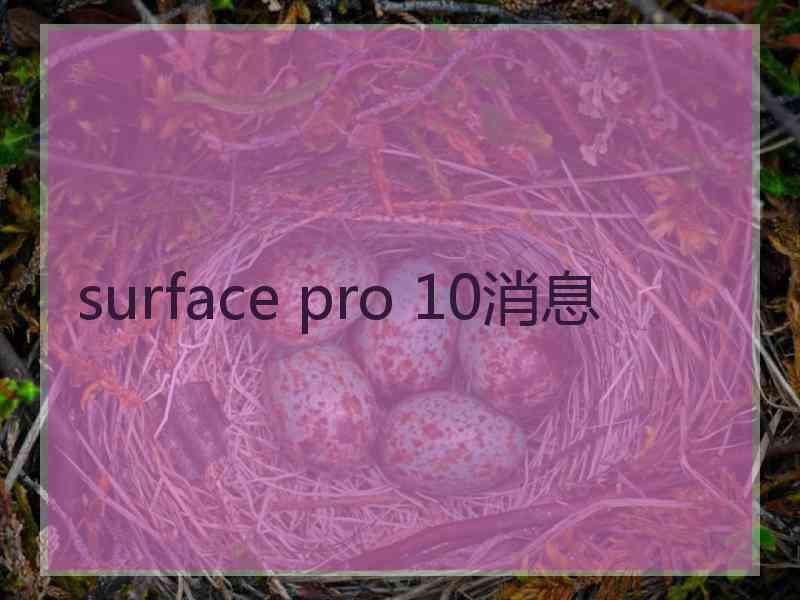 surface pro 10消息