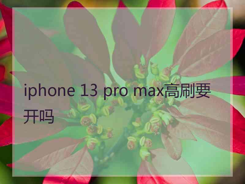 iphone 13 pro max高刷要开吗