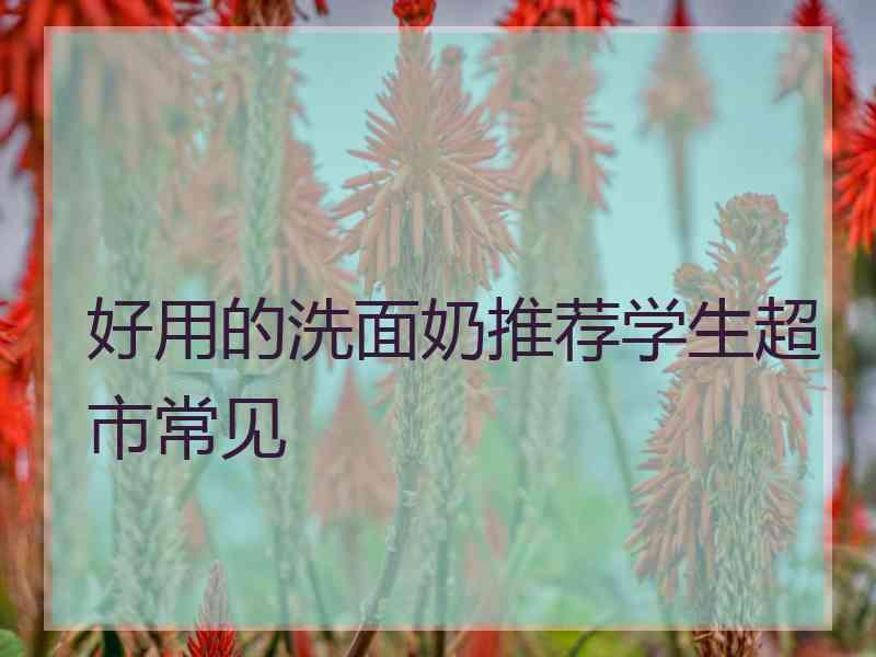 好用的洗面奶推荐学生超市常见