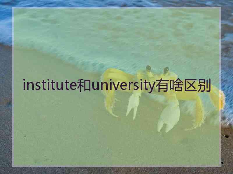 institute和university有啥区别