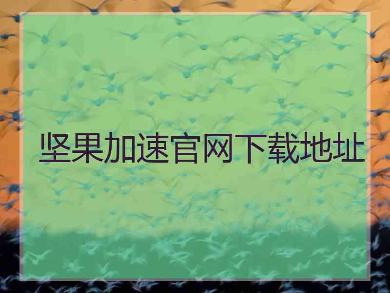 坚果加速官网下载地址