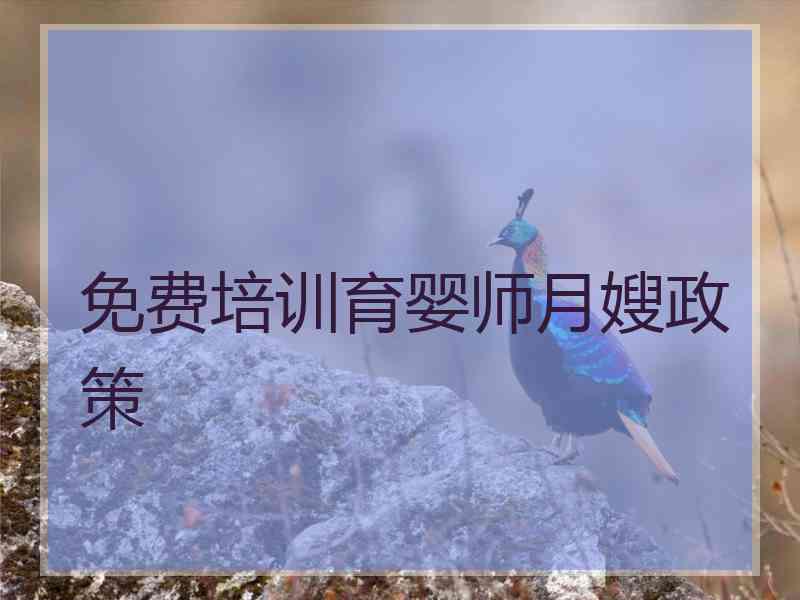 免费培训育婴师月嫂政策