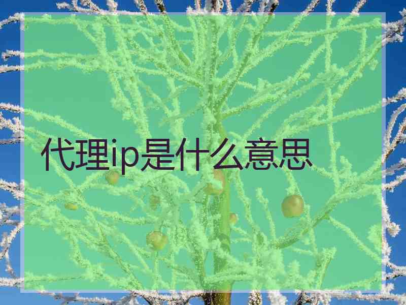 代理ip是什么意思