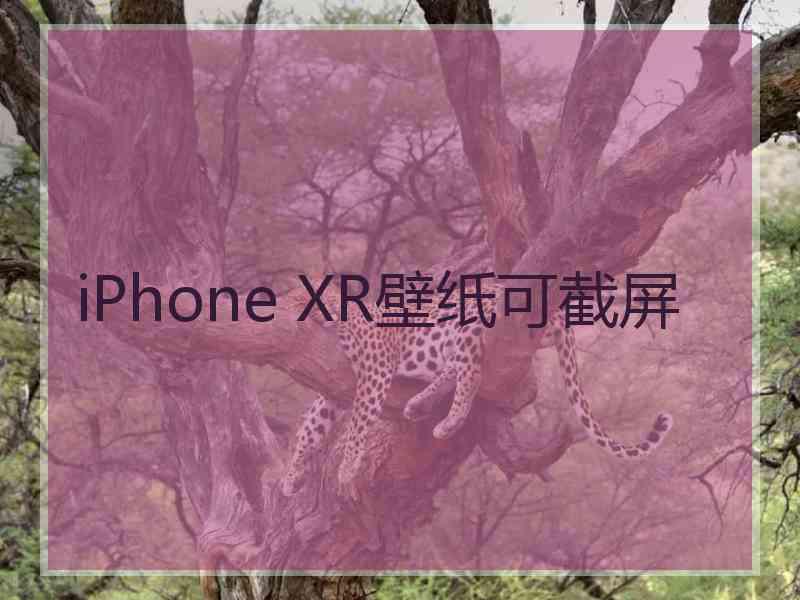 iPhone XR壁纸可截屏