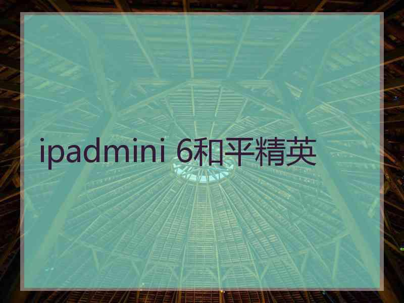 ipadmini 6和平精英