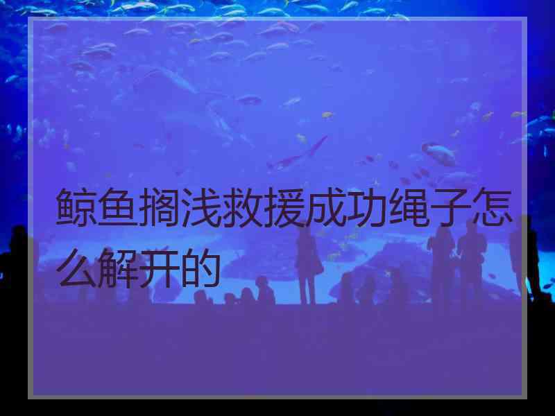 鲸鱼搁浅救援成功绳子怎么解开的