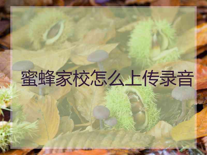 蜜蜂家校怎么上传录音