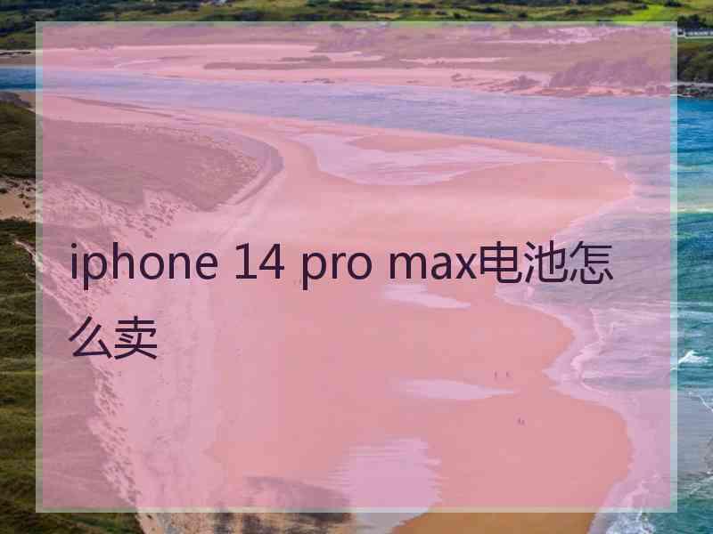 iphone 14 pro max电池怎么卖