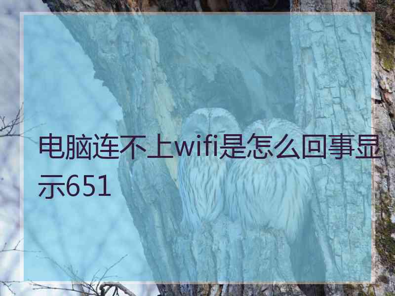 电脑连不上wifi是怎么回事显示651