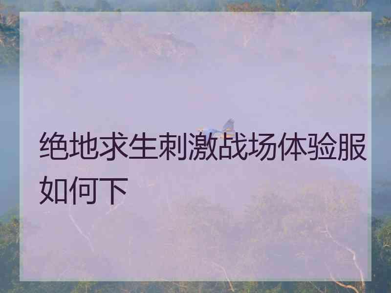 绝地求生刺激战场体验服如何下