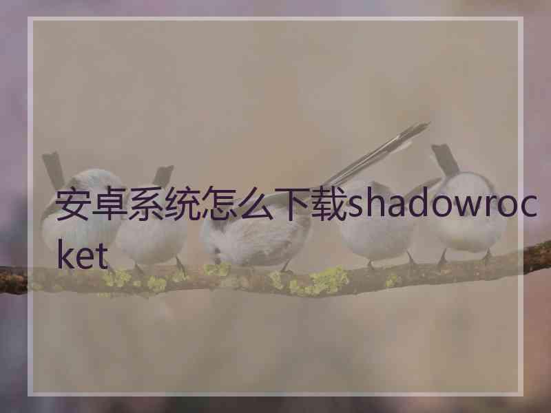 安卓系统怎么下载shadowrocket