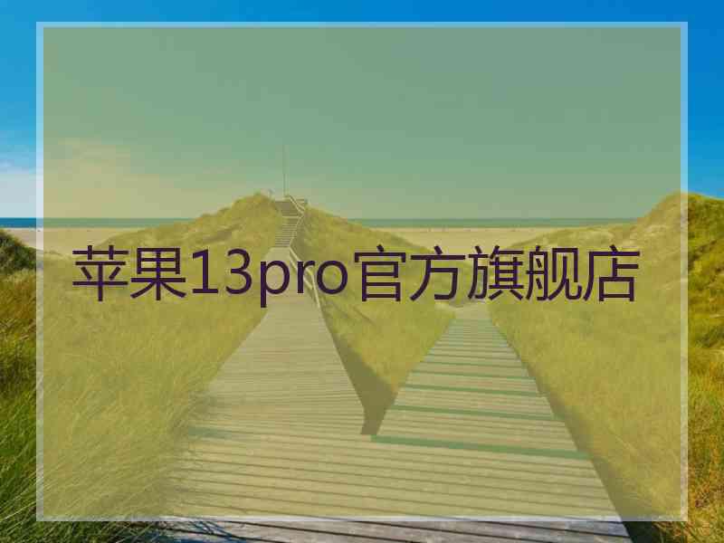 苹果13pro官方旗舰店