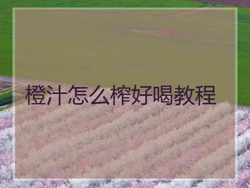 橙汁怎么榨好喝教程