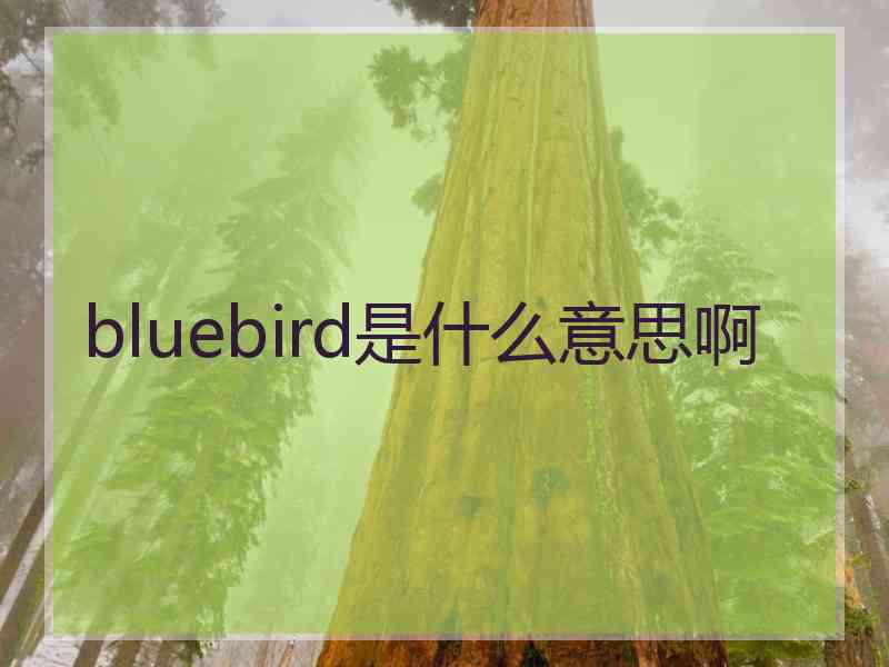 bluebird是什么意思啊