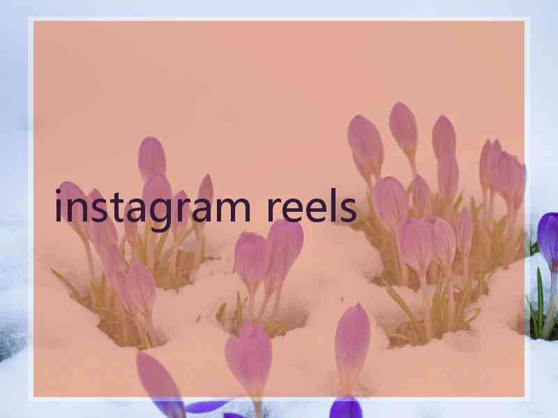 instagram reels