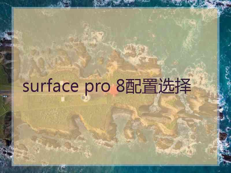 surface pro 8配置选择