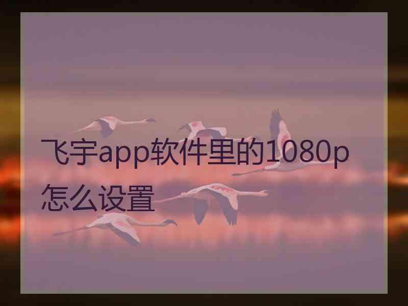 飞宇app软件里的1080p怎么设置