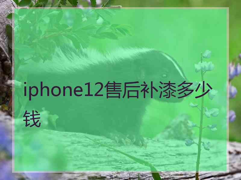 iphone12售后补漆多少钱