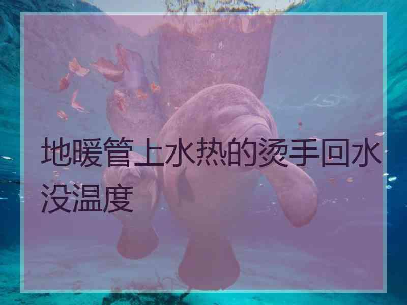 地暖管上水热的烫手回水没温度