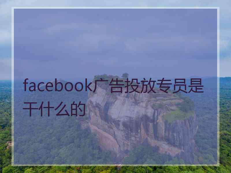 facebook广告投放专员是干什么的