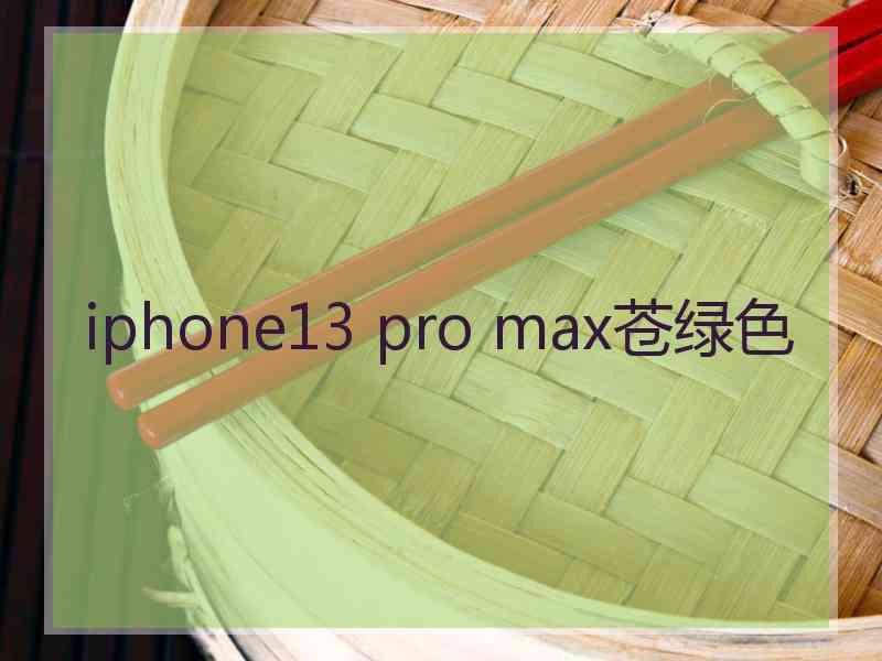 iphone13 pro max苍绿色