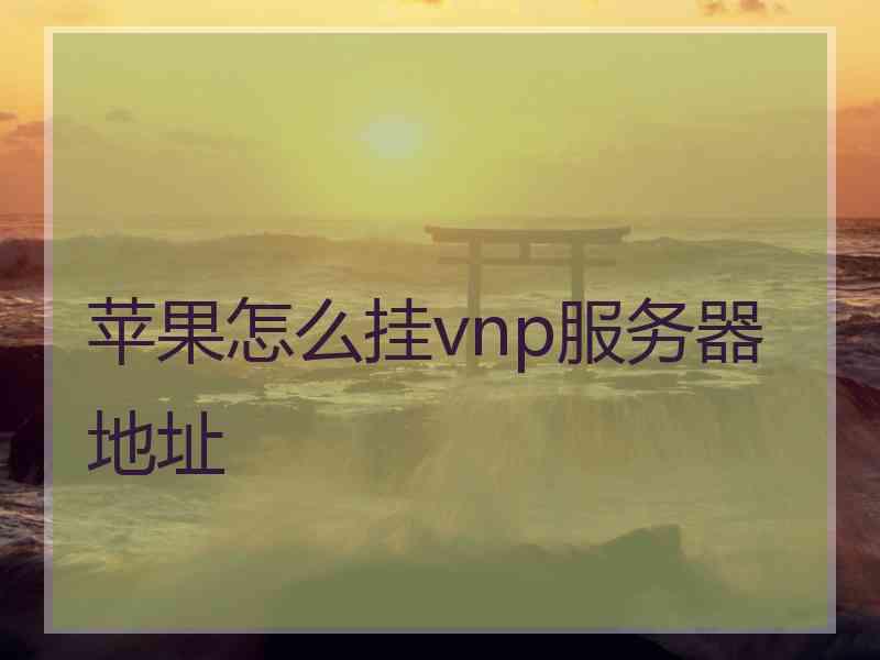 苹果怎么挂vnp服务器地址