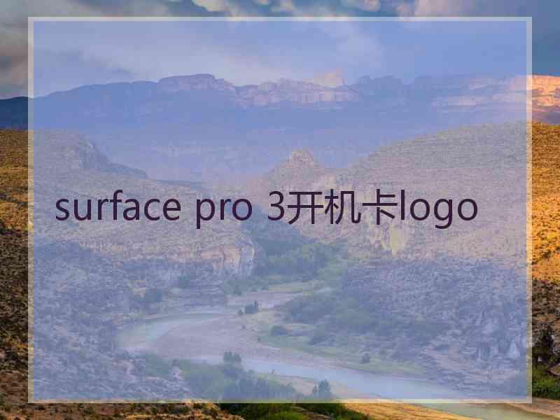 surface pro 3开机卡logo