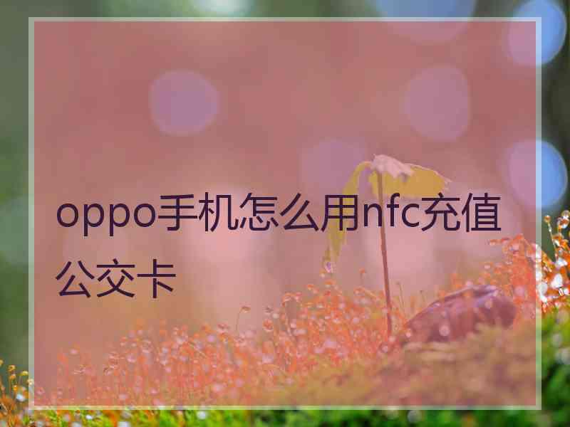 oppo手机怎么用nfc充值公交卡