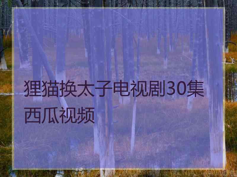 狸猫换太子电视剧30集西瓜视频