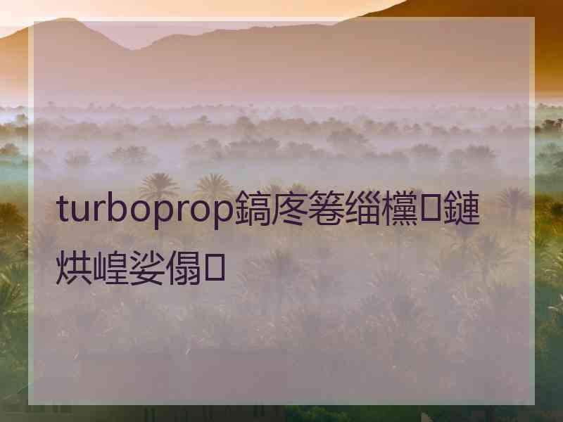 turboprop鎬庝箞缁欓鏈烘崲娑傝